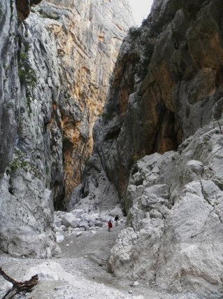  Guided trekking 